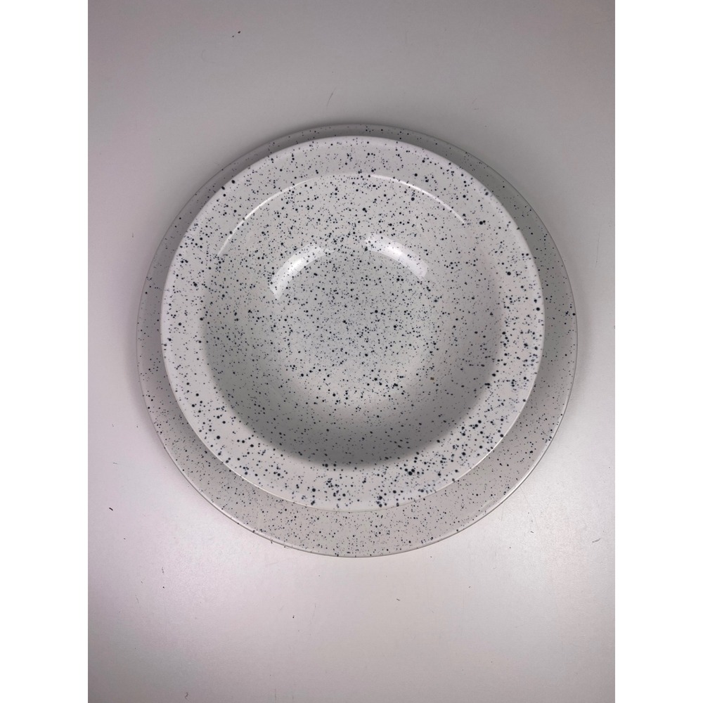 Signature‎ Housewares Table Rock Stoneware Blue Speckles Plate & Bowl Set Japan